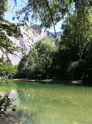 IMG_2722